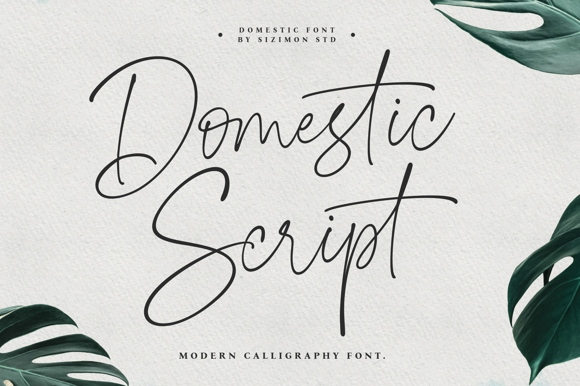 Domestic Script