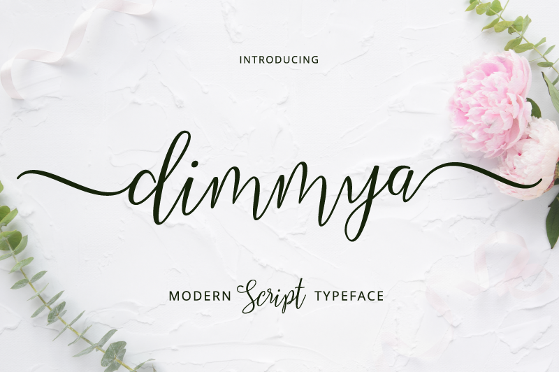 dimmya demo