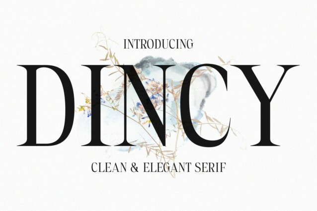 Dincy Demo