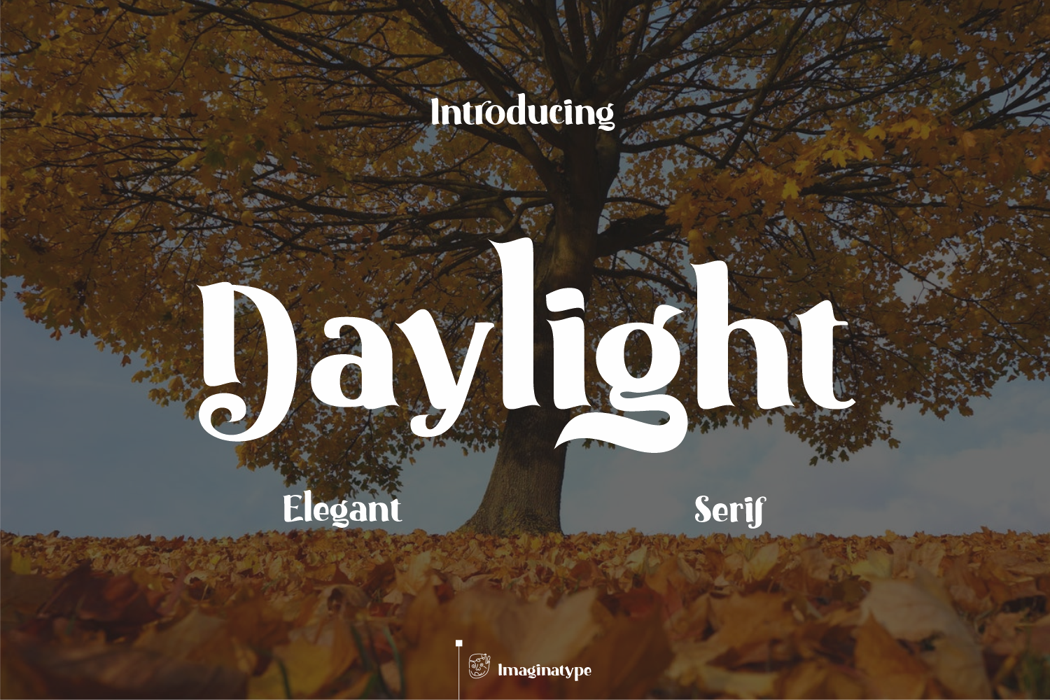 Daylight Demo