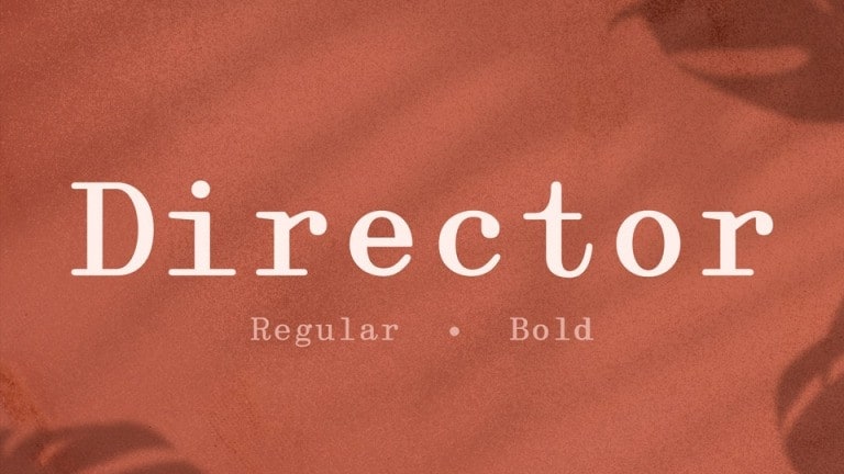 DirectorV3