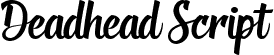 Deadhead Script