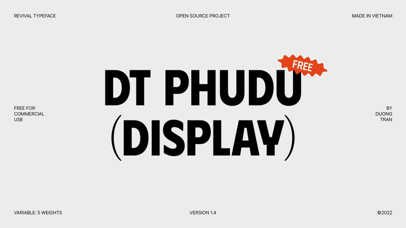 DT Phudu