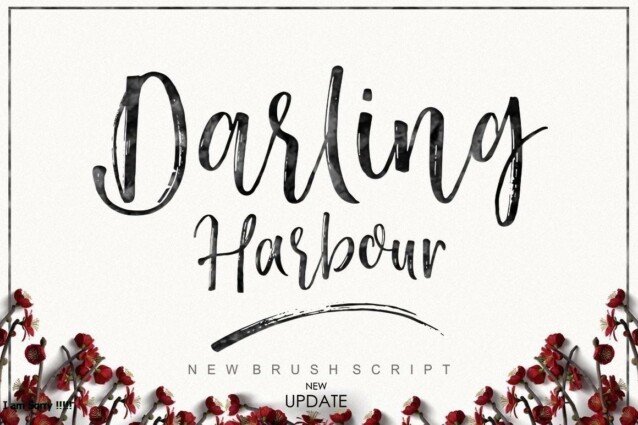 Darling Harbour Brush