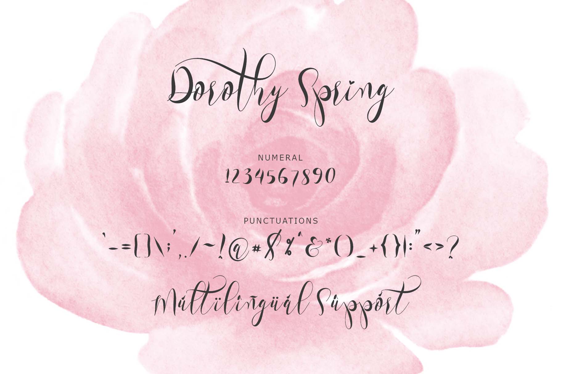 Dorothy Spring
