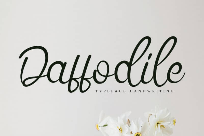 Daffodile