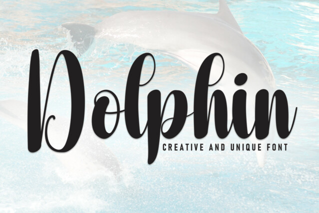 Dolphin