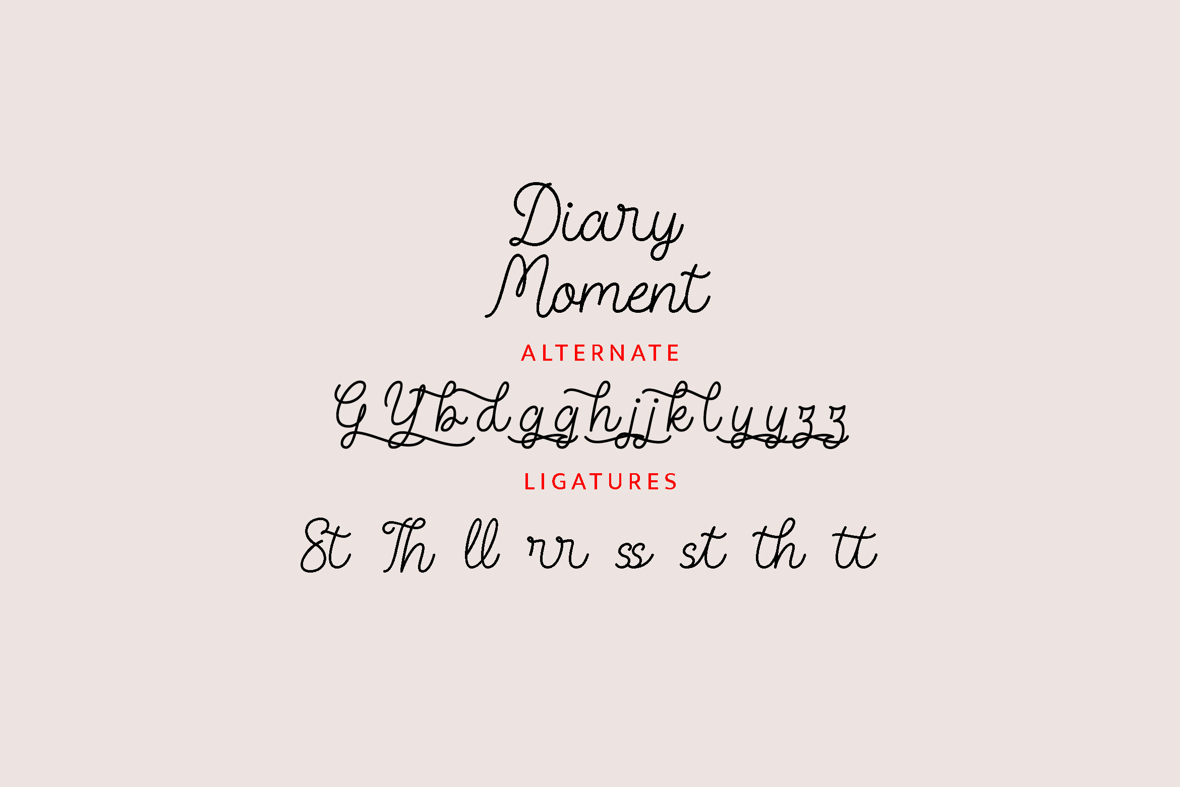 Diary Moment