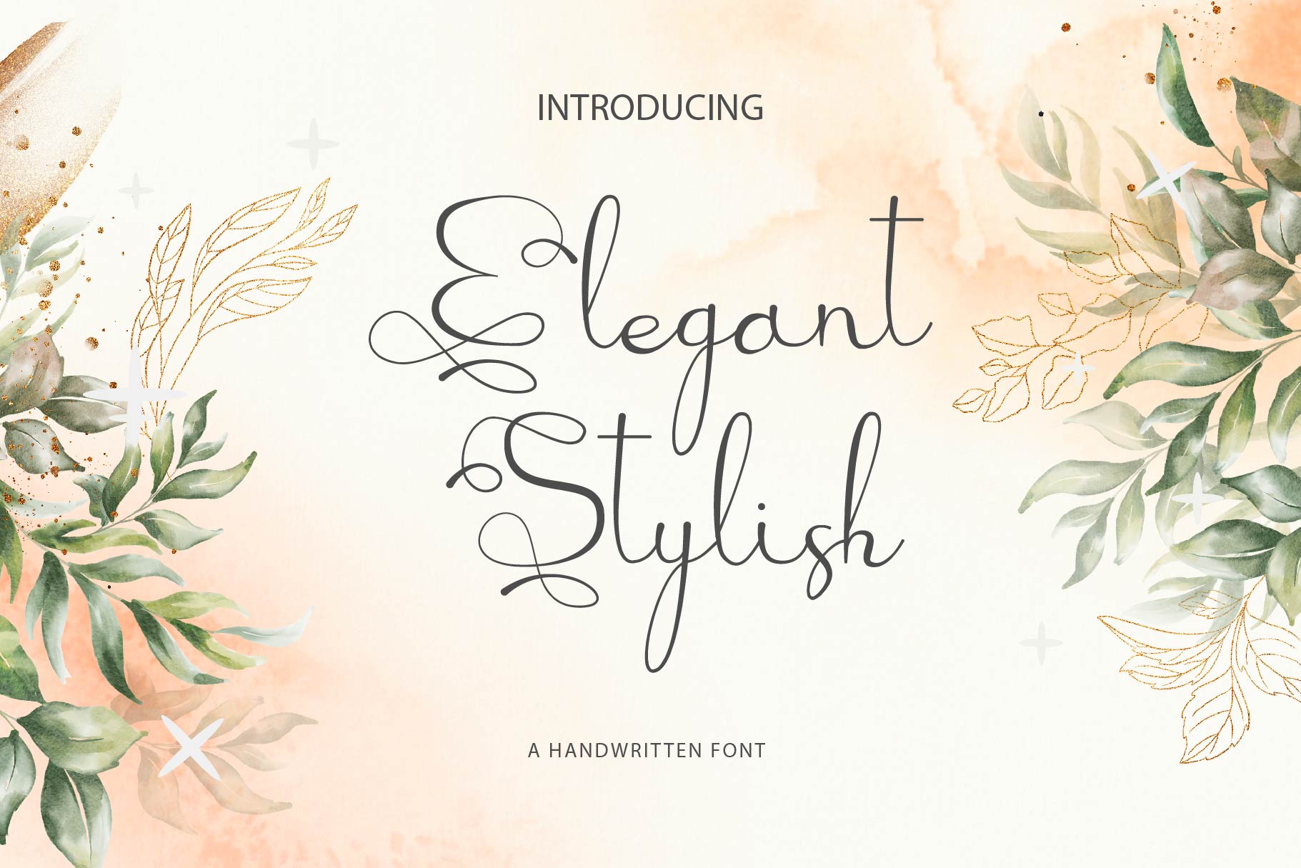 Elegant Stylish