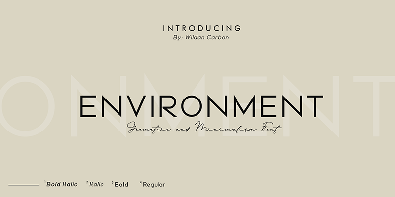 Environment (Demo)