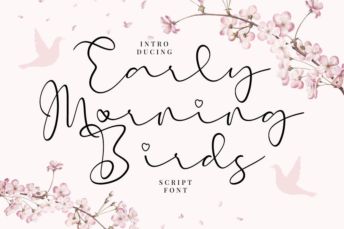 Early Morning Birds