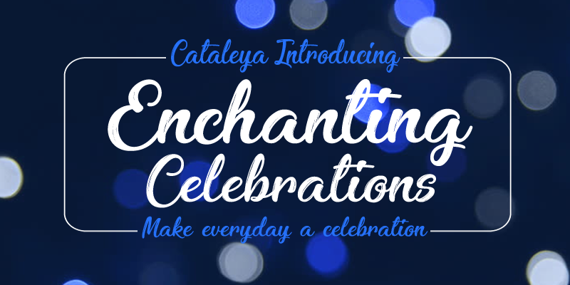 Enchanting Celebrations