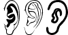 Ear