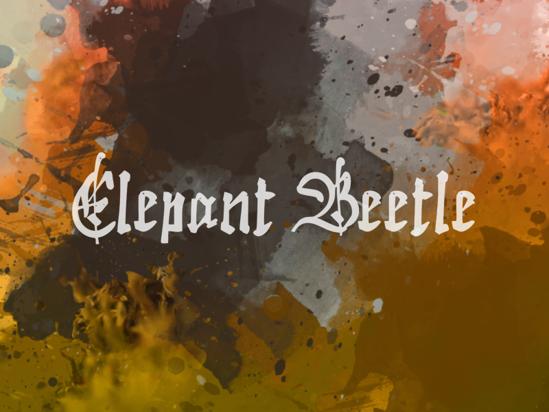 e Elephant Beetle