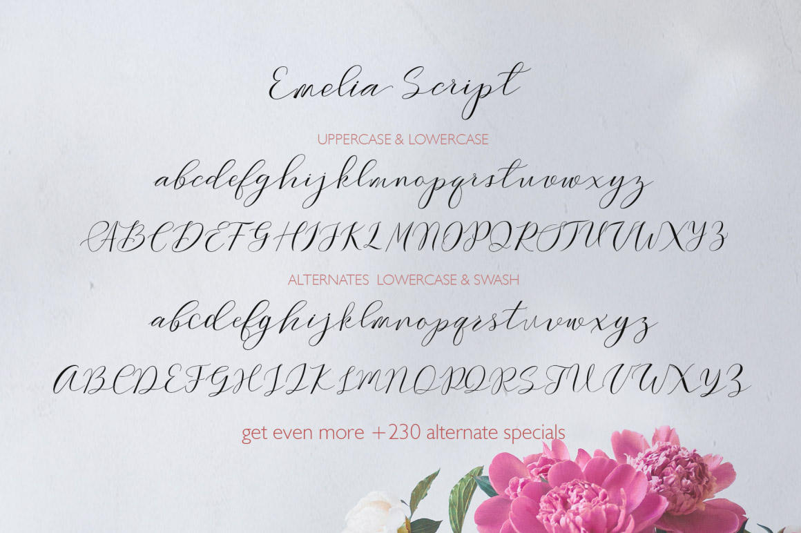 Emelia Script