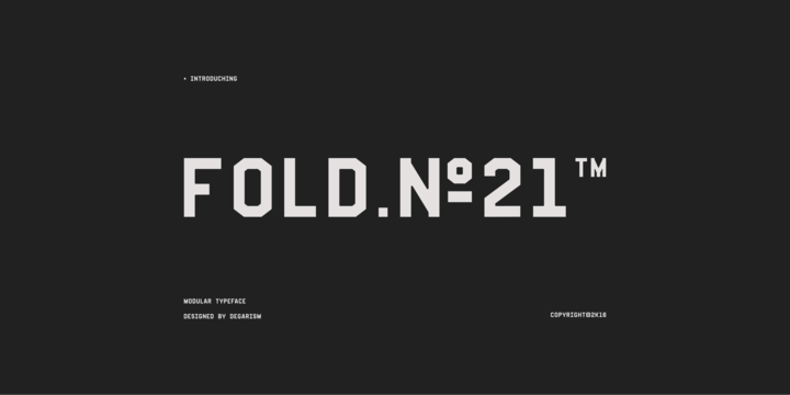 Fold-No.21