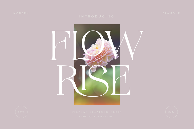 FLOWRISE