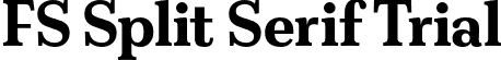 FS Split Serif Trial