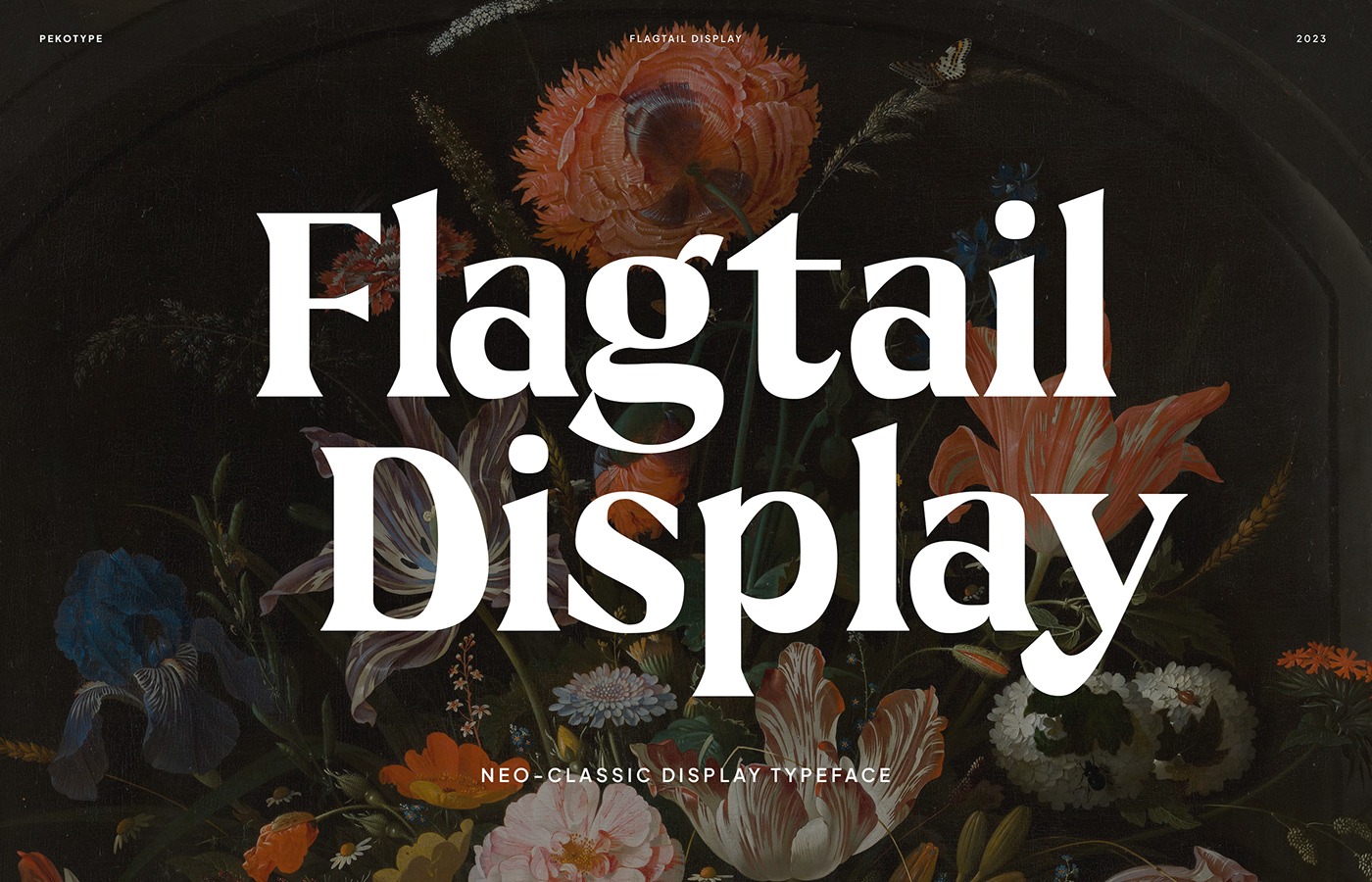 Flagtail Display
