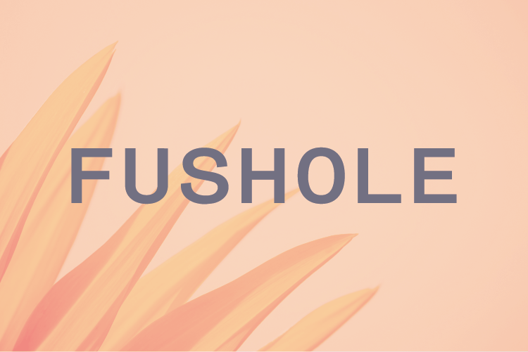 Fushole