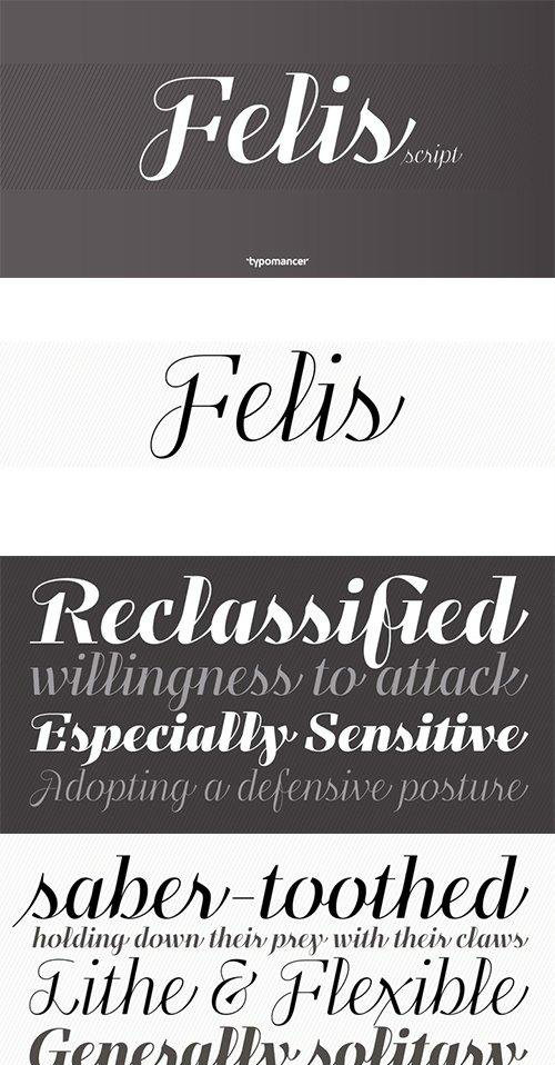 FelisScript