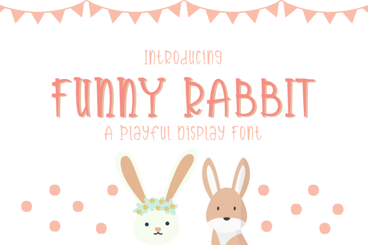 Funny Rabbit