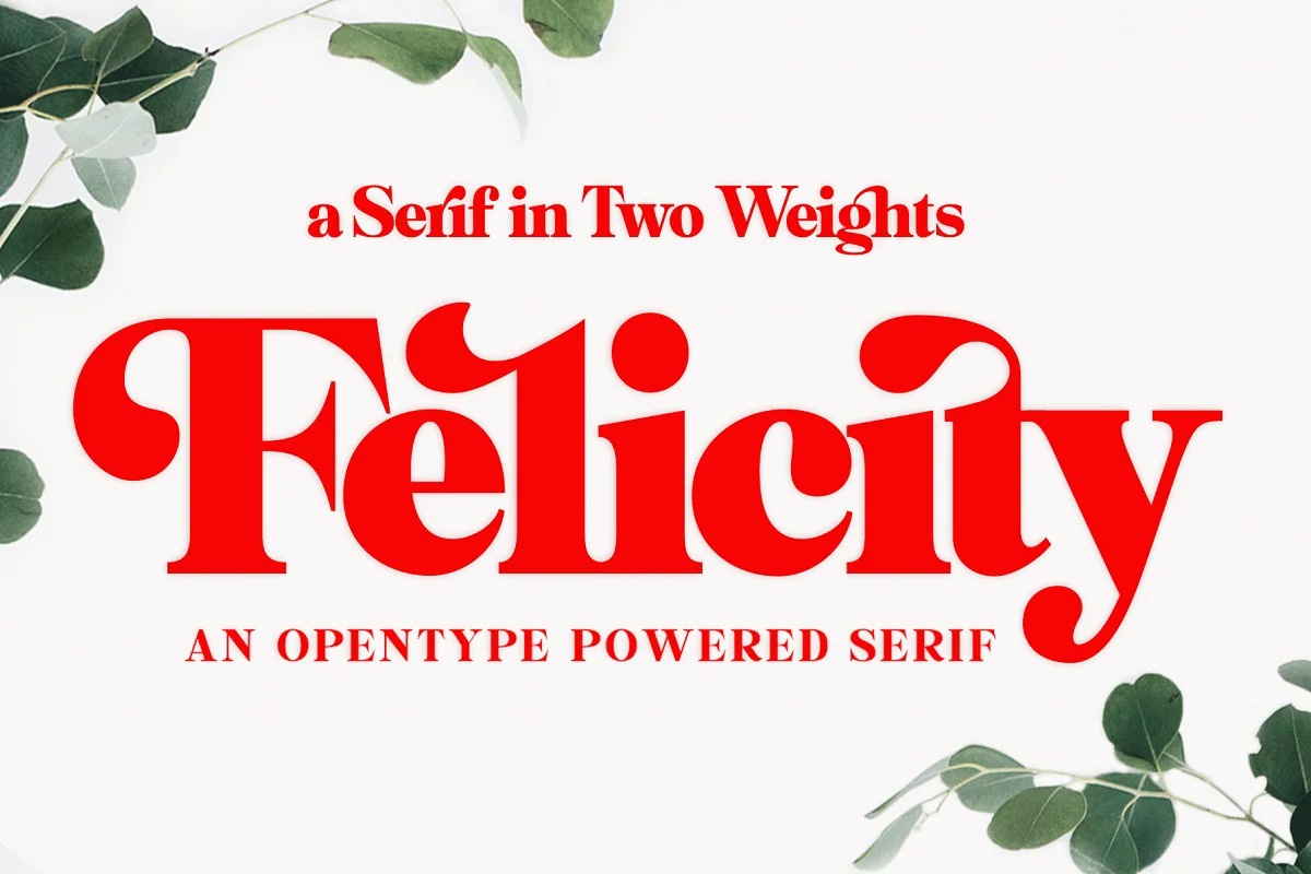 FSP DEMO - Felicity