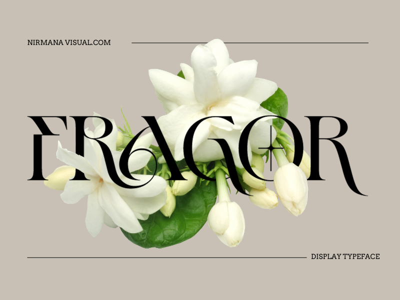 Fragor - Demo Version