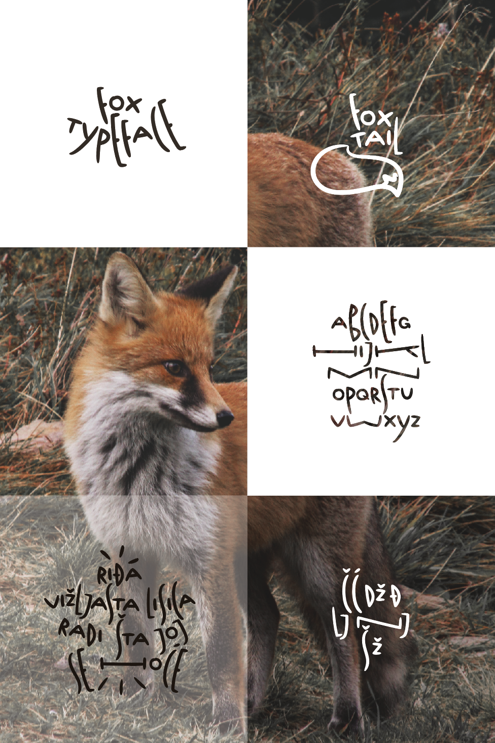 Fox Typeface