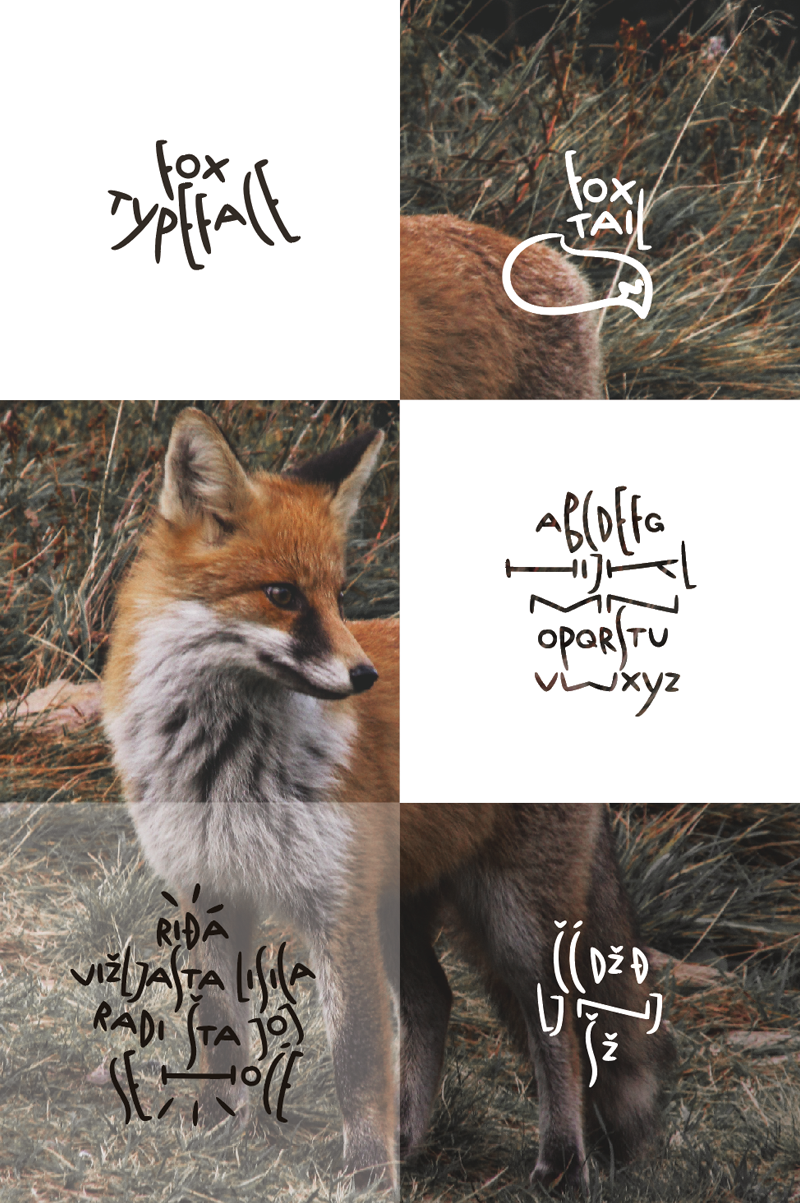 Fox Typeface