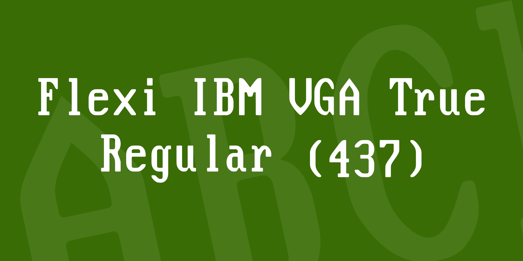Flexi IBM VGA True