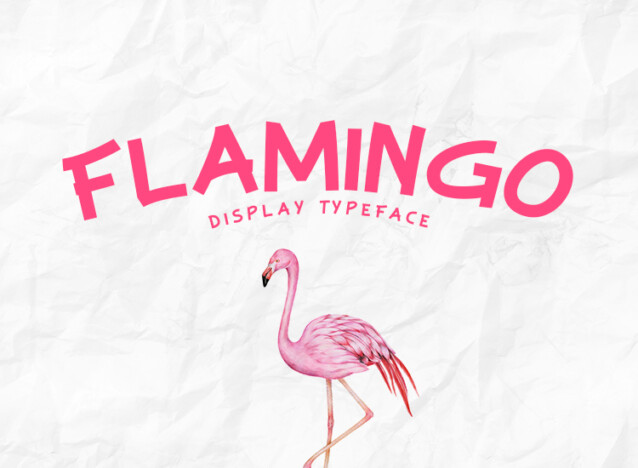 Flamingo