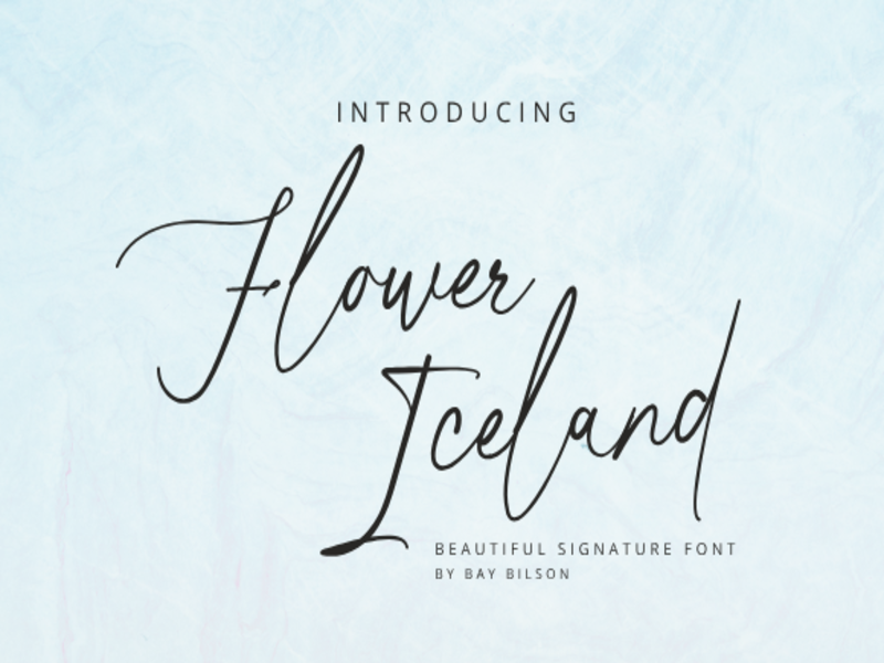 Flower Iceland