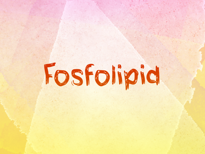 f Fosfolipid