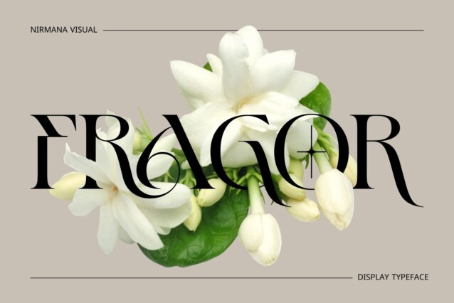 Fragor - Demo Version