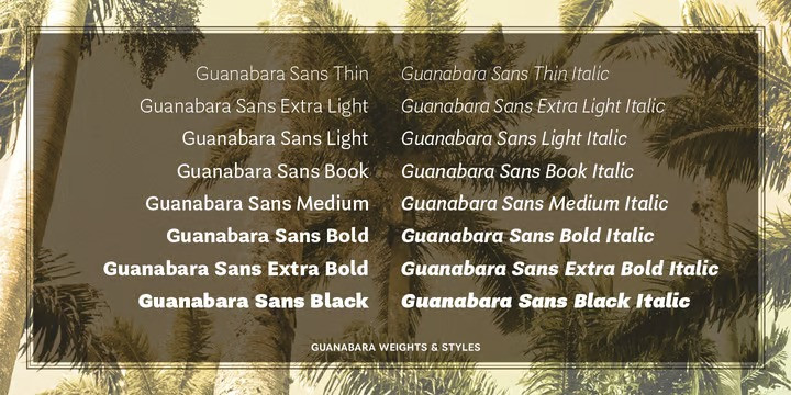 Guanabara Sans Test Black