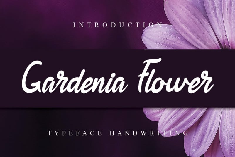 Gardenia Flower