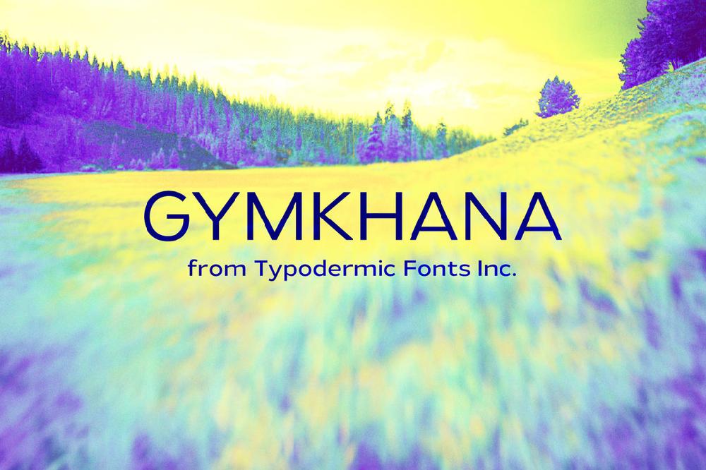 Gymkhana