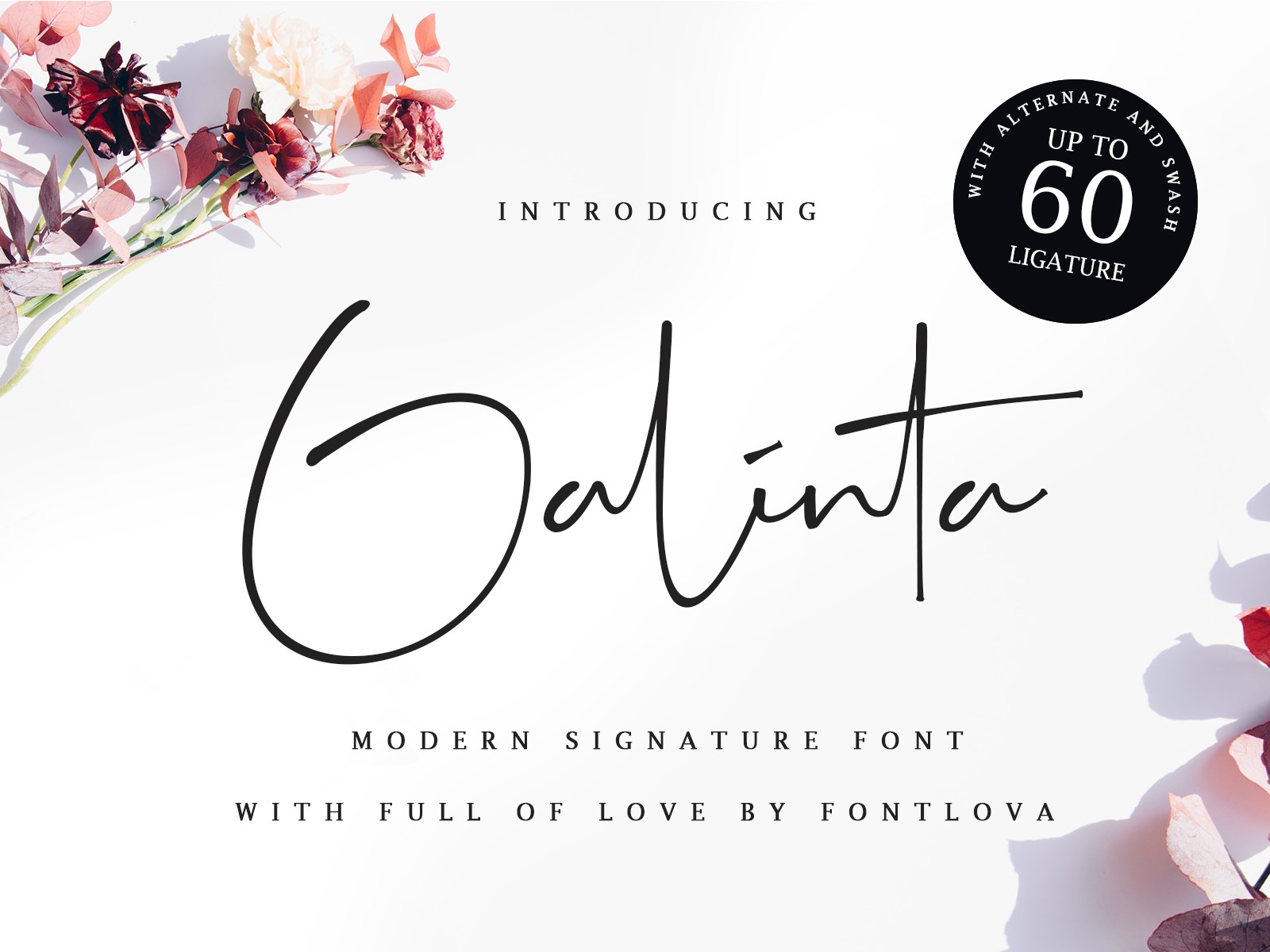 Galinta Signature - free