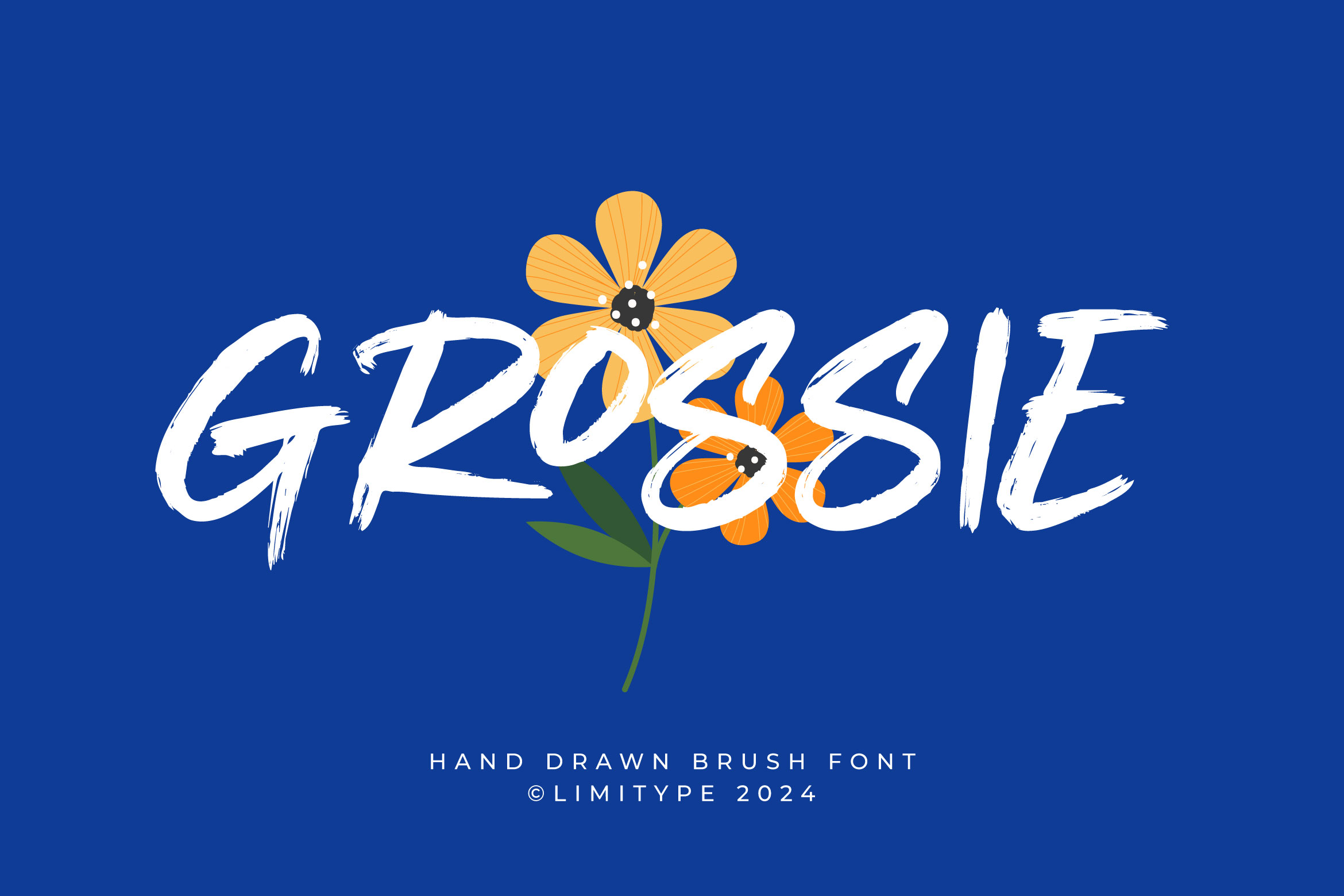 Grossie DEMO