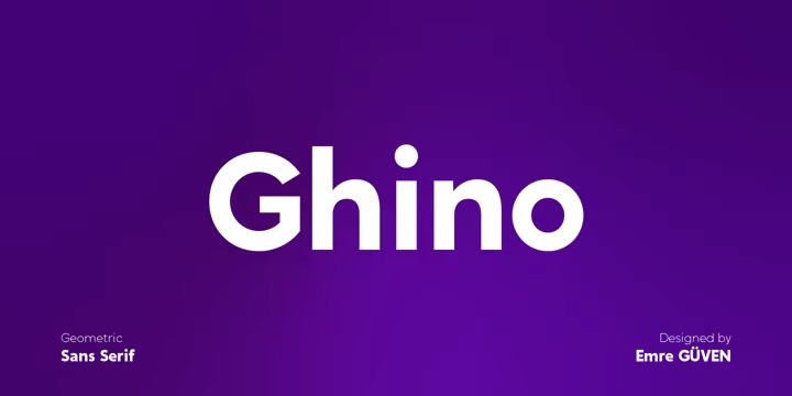 FSP DEMO - Ghino
