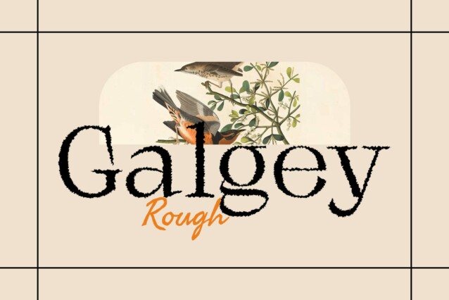 Galgey Rough Demo