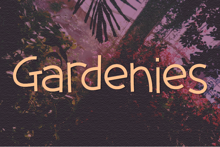 Gardenies