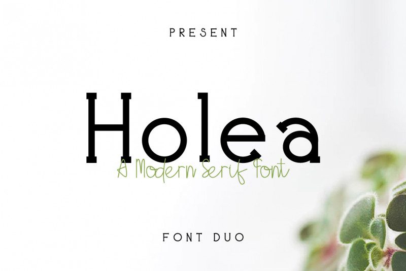 Holea DEMO