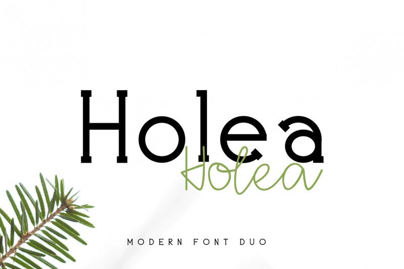 Holea DEMO