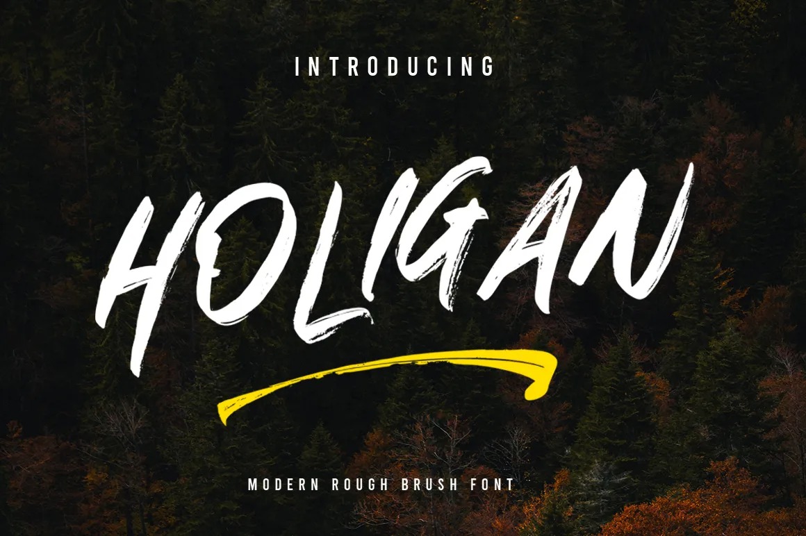 HOLIGAN