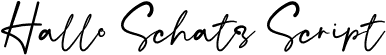 Hallo Schatz Script