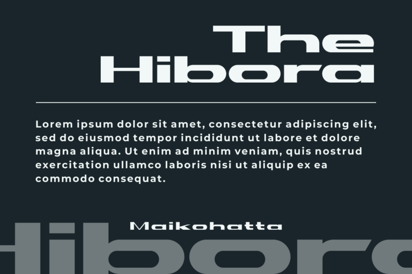 Hibora