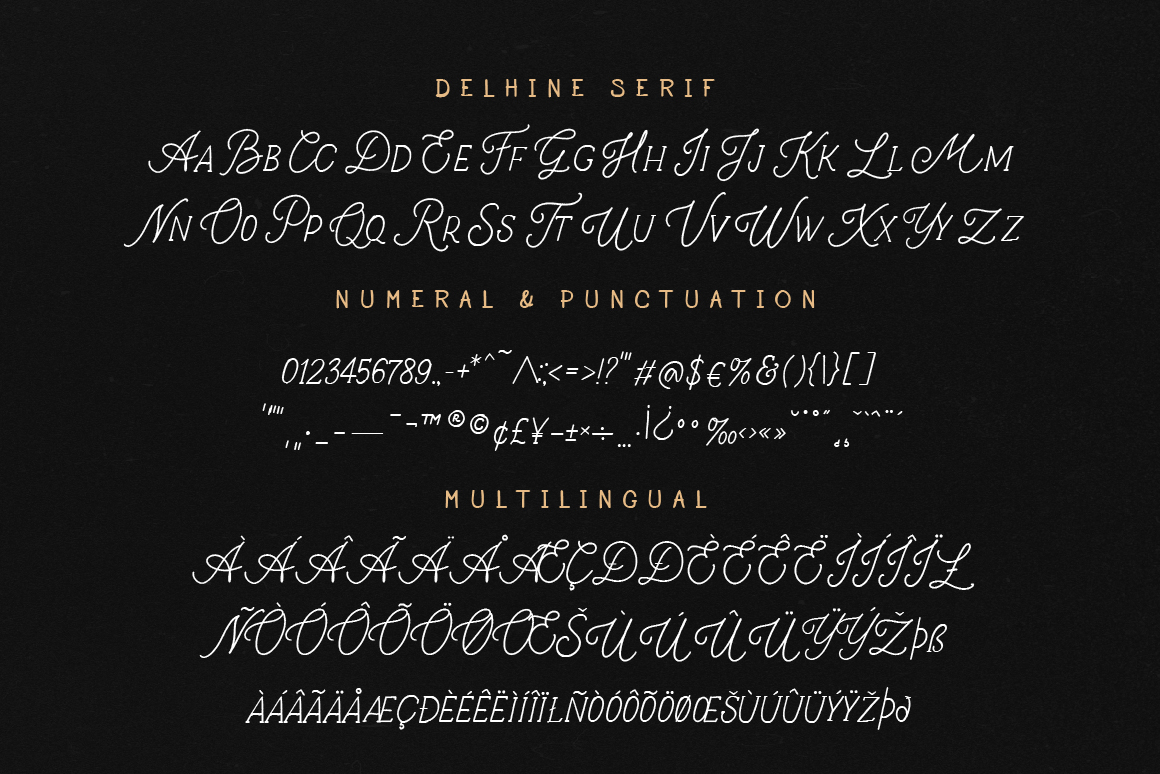 Delhine Script