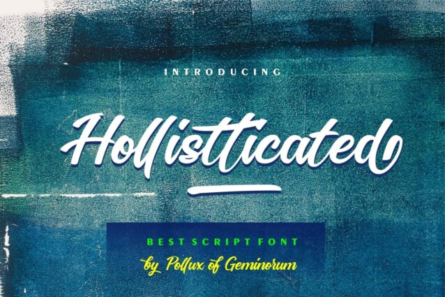 Hollistticated